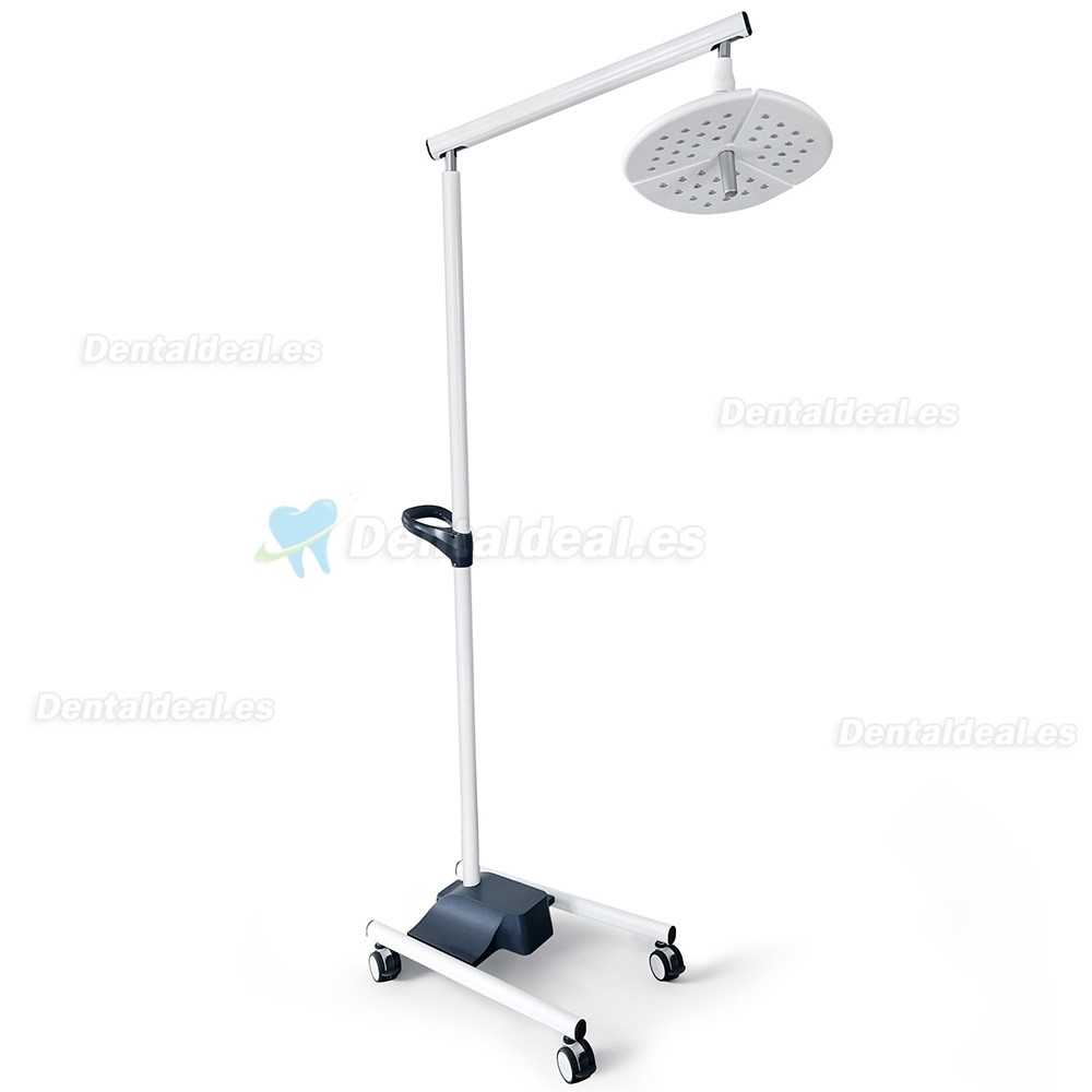 KWS KD-2036L-4 L&aacute;mpara Dental LED M&oacute;vil de Pie 80W con 4 Ruedas